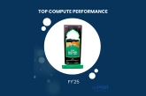 HPE Top Compute Performance - Fy 2025